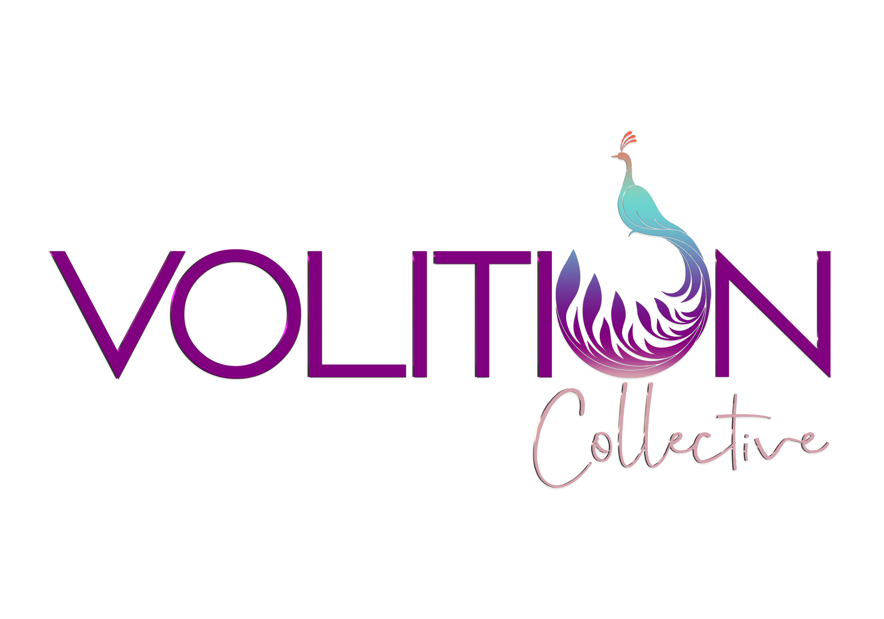 Volition Collective Logo